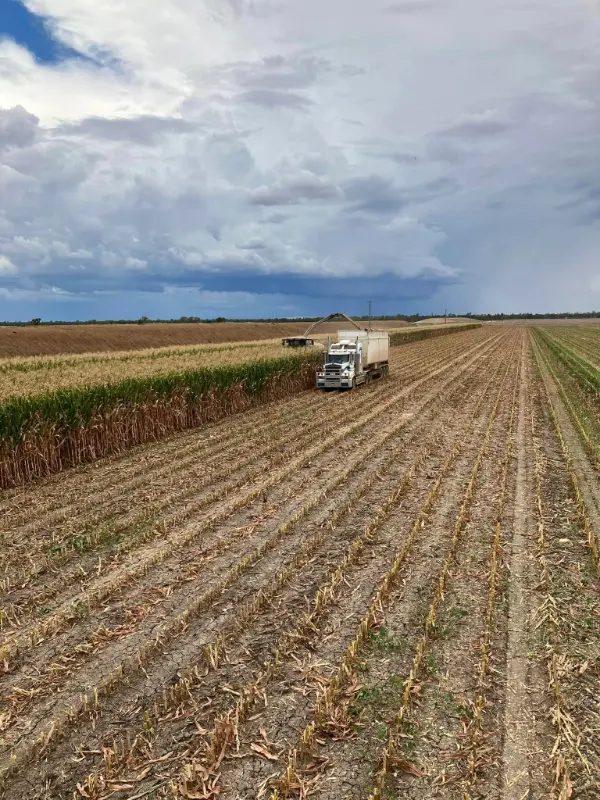 carrigan silage vehicle on the field