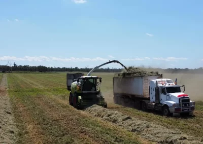carrigan silage gallery image 13