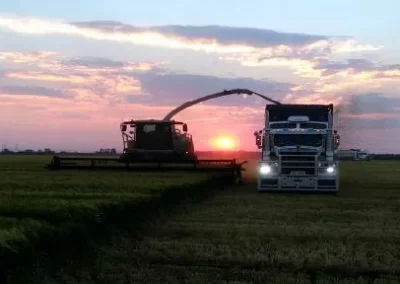 carrigan silage gallery image 17