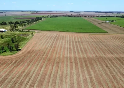 carrigan silage gallery image 18