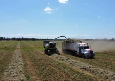 carrigan silage gallery image 19