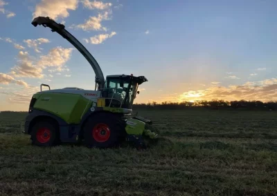 carrigan silage gallery image 28