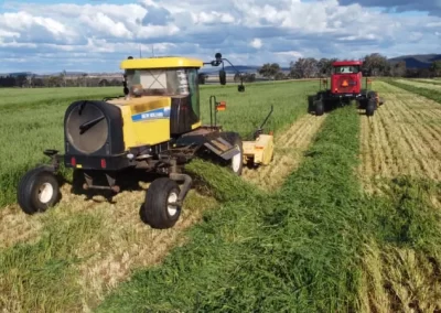 carrigan silage gallery image 31