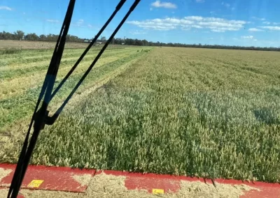 carrigan silage gallery image 33