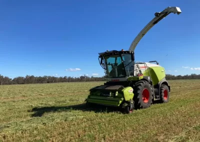 carrigan silage gallery image 34